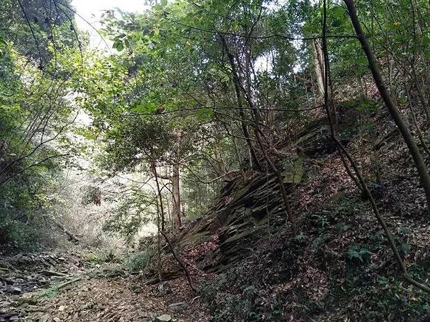 公私募基金齐上阵 密集调研医药及科技公司